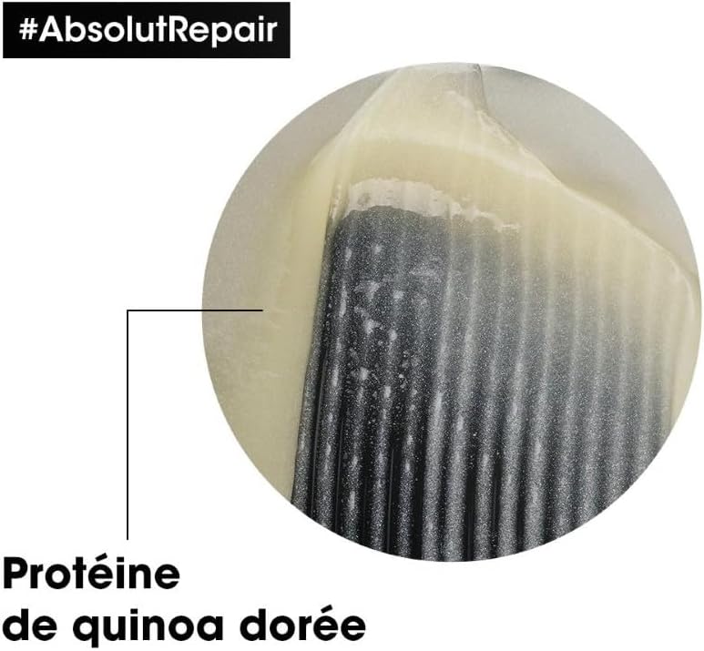 L'Oréal Professionnel, Absolut Repair, Cheveux Secs & Abîmés, Shampoing Réparateur, Masque Restructurant, Huile 10 en 1, Répare Instantanément, Protège & Nourrit la Fibre, Série Expert