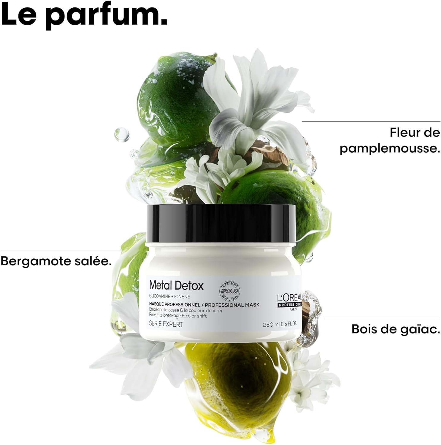 L'OREAL PROFESSIONNEL - Masque Anti-Casse - Cheveux Abîmés & Cassants, Colorés ou Naturels - Renforce & Hydrate la Fibre - Couleur Longue Durée - Metal Detox, Série Expert - 250ml