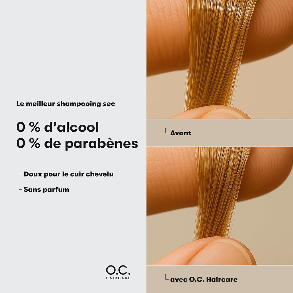 Poudre coiffante - Poudre pour cheveux fins & délicats - avec EFFET MATTE - coiffante pour une stabilité maximale - recommandée par les plus grands salons (11 g (Lot de 2))
